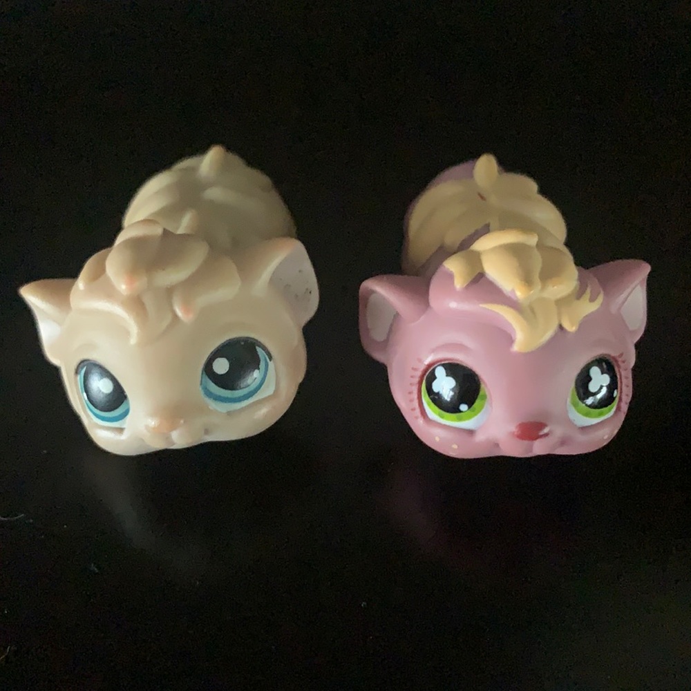 Rare hamster couple boundle🐹